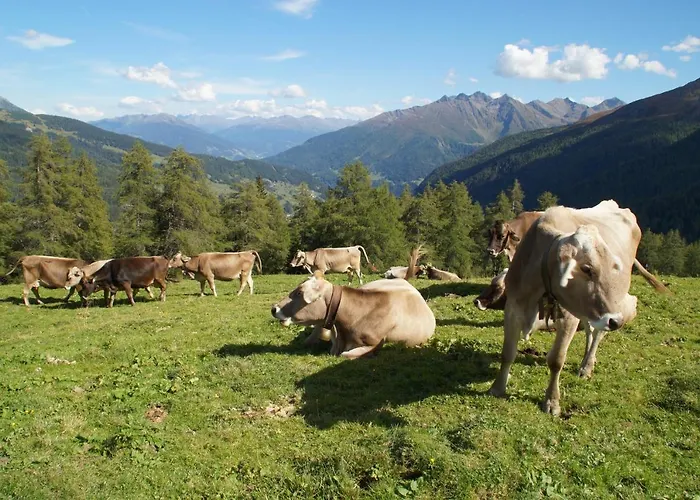 Haus St. Bernard شقة بيتنيو آم أرلبرغ