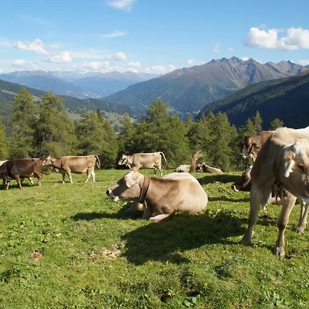 Haus St. Bernard Appartement Pettneu am Arlberg
